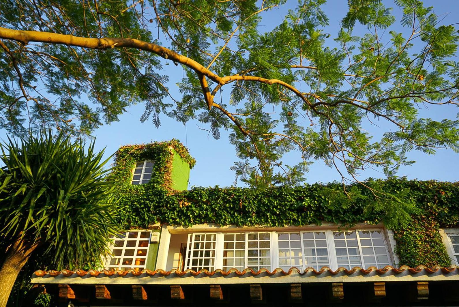 La Casa Verde Murcie Extérieur photo