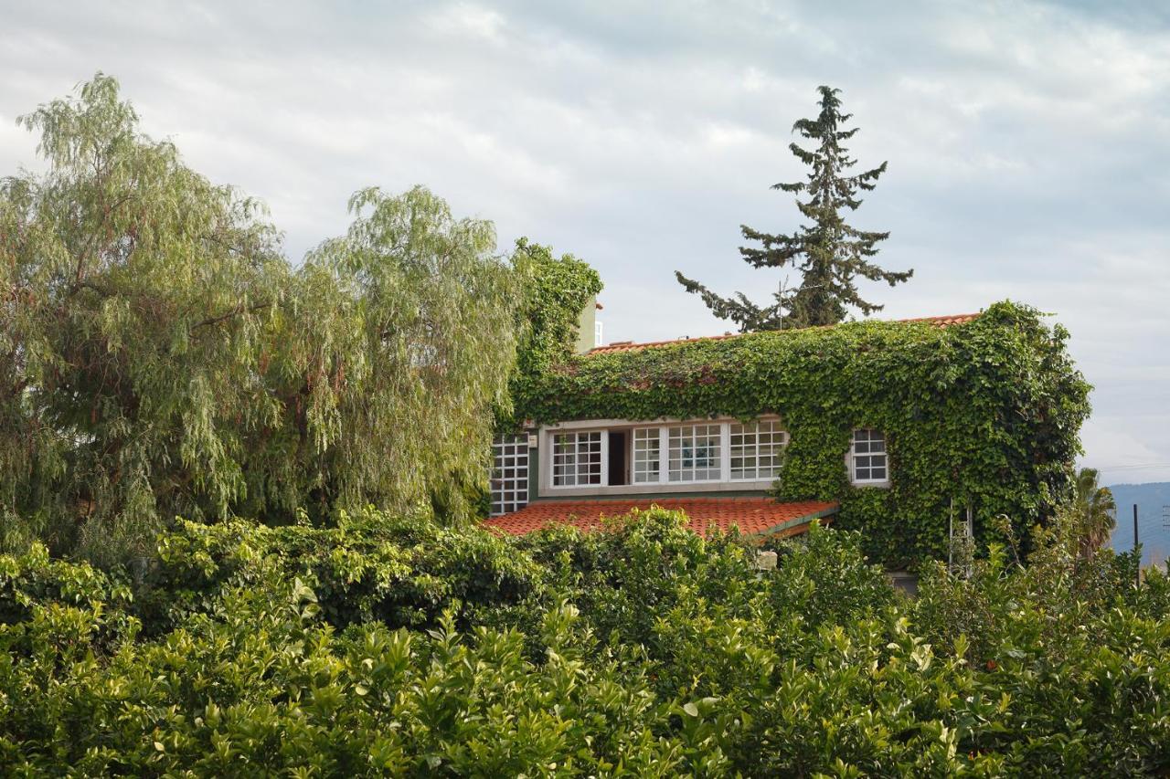 La Casa Verde Murcie Extérieur photo